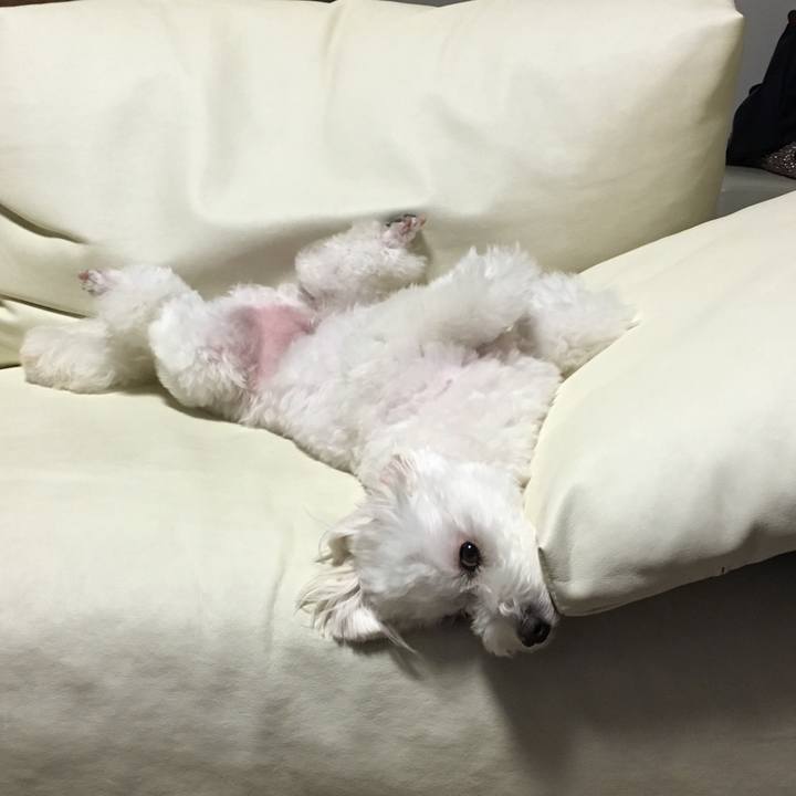 9396690e 49a3 4ded 9939 78b4e793866f 1560437571199