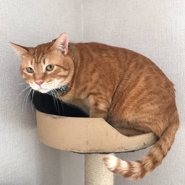 9396d2d4 4658 4c18 842a 1f4801f0bc8c 1553301396780