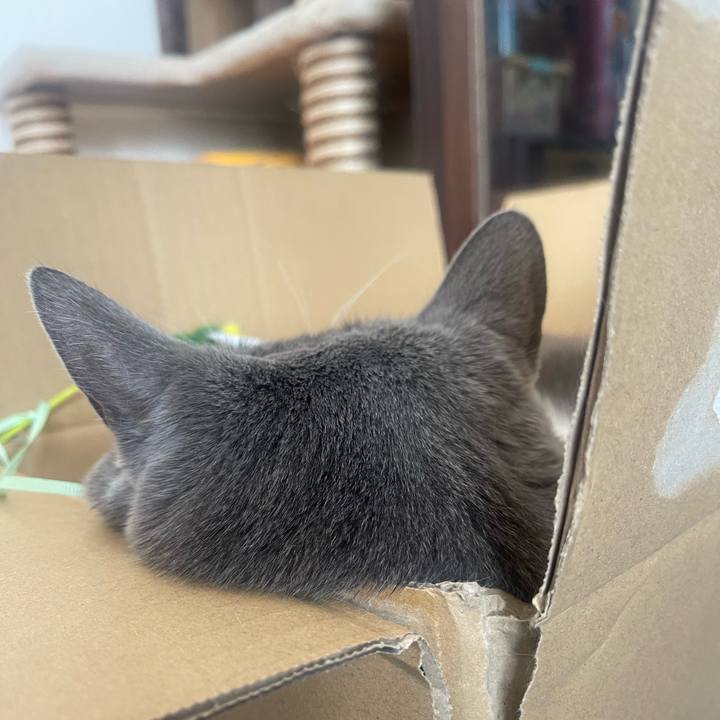 9396dc28 276a 4444 87ab eff514f03260 1698367637039