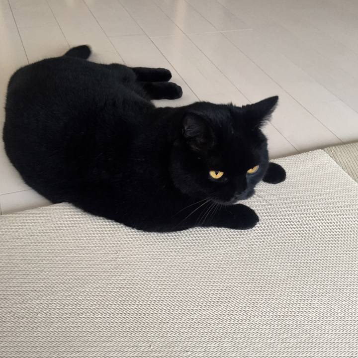 93972837 0590 44e4 b9f1 65255709fabc 1567413466514