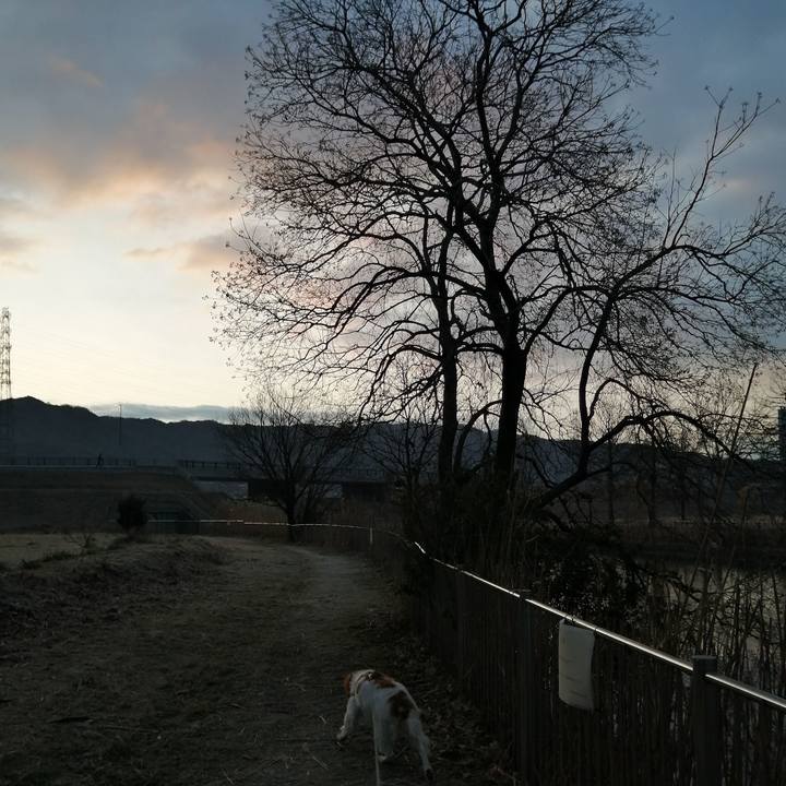 93972d50 a61e 42ae 89a6 bfa67e4d5a08 1581300981657