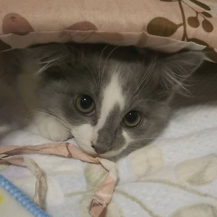 939753f0 1743 443f 952e 49ee8fc759fe 1563532447687