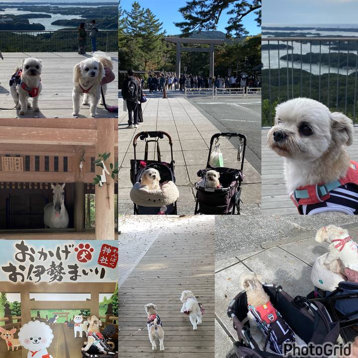 93975a24 226e 4e49 9420 f2cbe56f6ec8 1699692125217