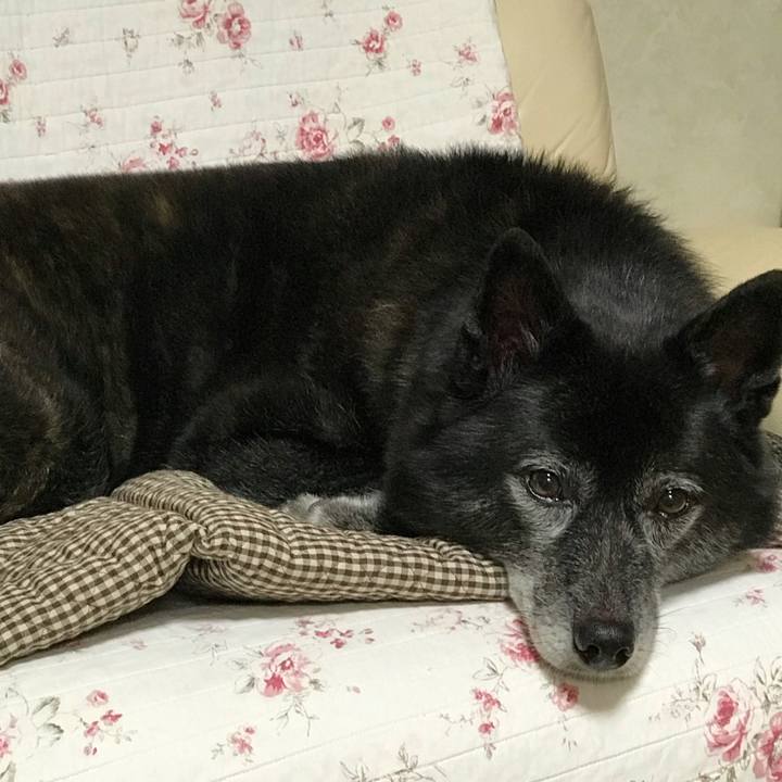 93979e55 ef02 4bd4 84a6 40f975017c4d 1538390646779