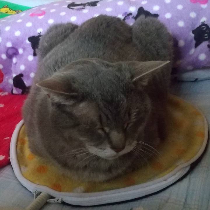 9397a0a8 d0e6 4369 b5a7 64a7abb613b3 1652060799737