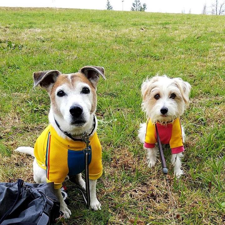 9397d9bb 1f61 4a04 8e52 7e5eac245ed6 1670961915611