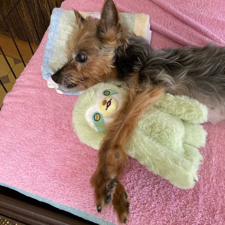 9397e8a4 7cd9 4169 9b41 e1d9b2a8848c 1691293604805