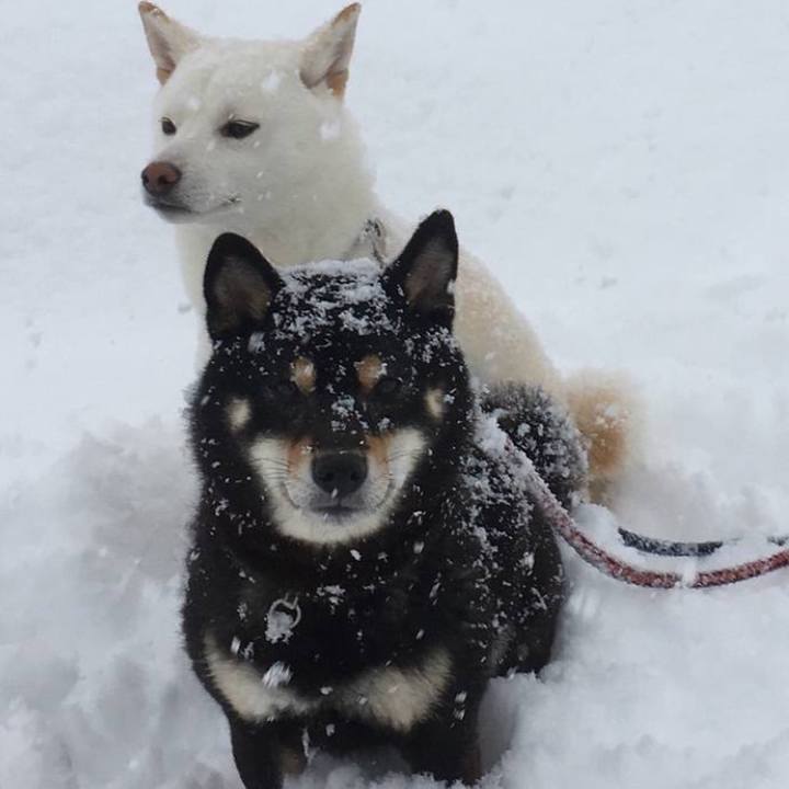 9397fdab b989 4558 8259 b57c67872b87 1564504107969