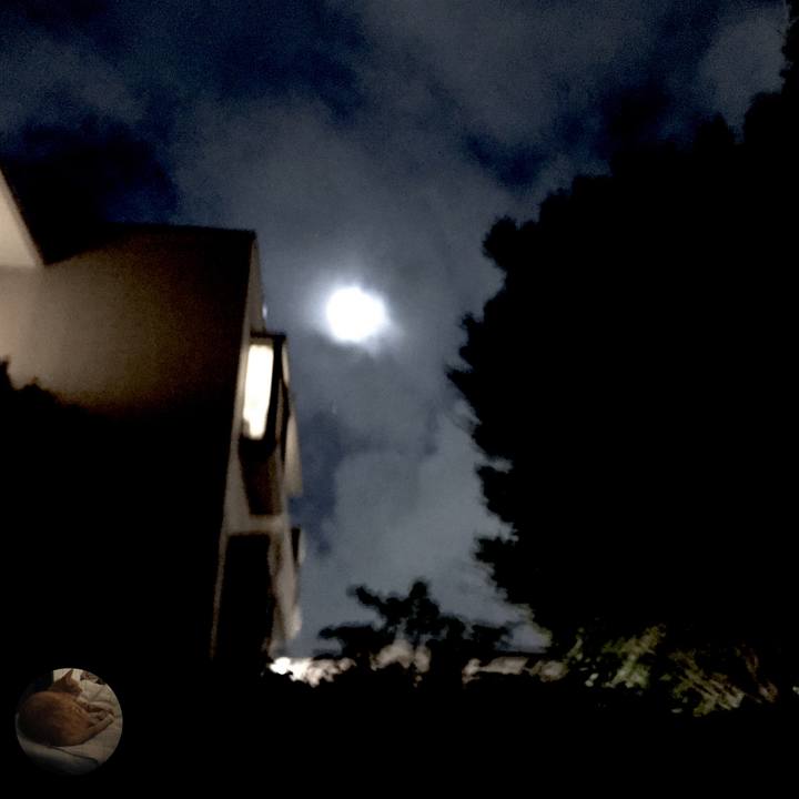 93985183 2bf0 4008 ac52 a94229224909 1535082228764