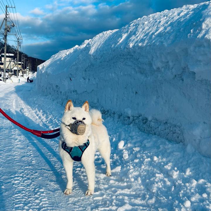 939861ee 66cd 4b72 be32 d54a6477030a 1740349076587