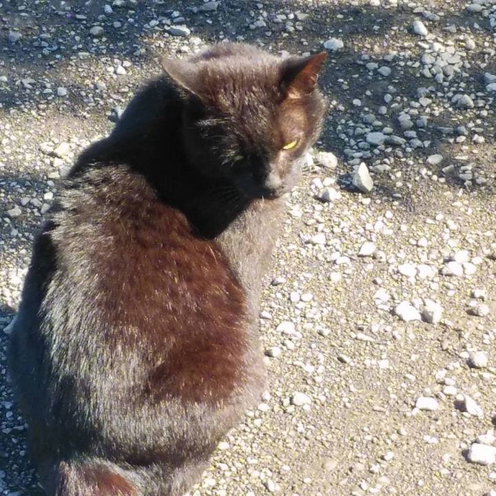 939866f6 c1a9 4ebd ba8b 464e9a2bdb55 1619750527843