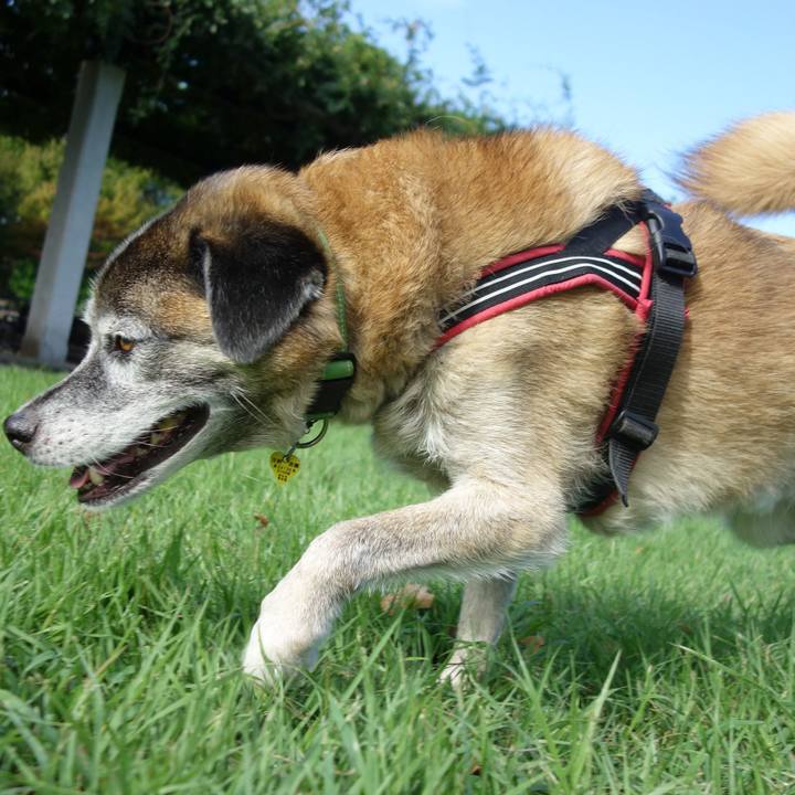 9398a874 5736 4398 98ee 0a554fbca2b5 1568767828938