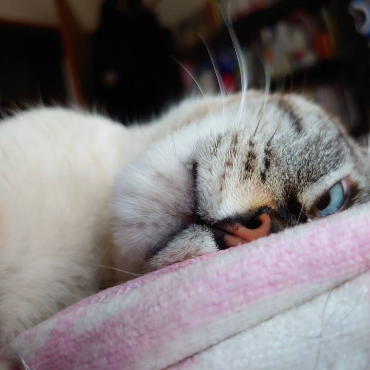 9398d5b0 9d9a 463c a43a c144f9c1592f 1620175143213