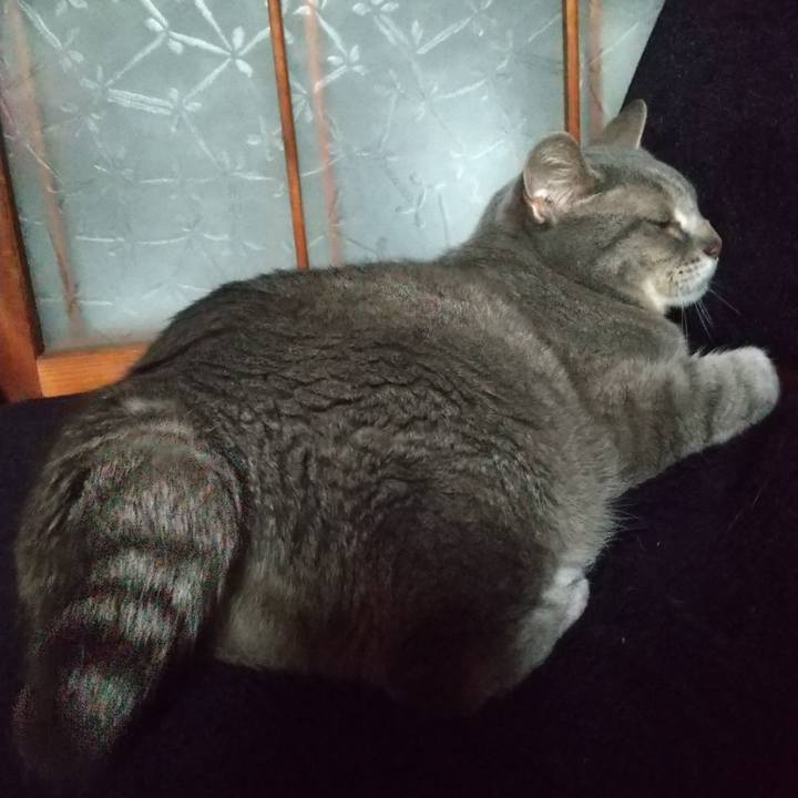 93993b4f 9971 49a1 91fe 67381502780a 1686436175576