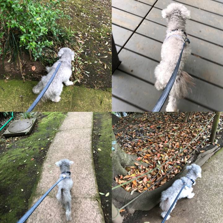 93996474 b294 4472 8264 d0a9ac0166f7 1650811626908