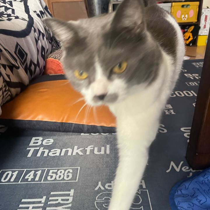 9399bd17 82c5 4715 b8c5 652993510039 1691021513474