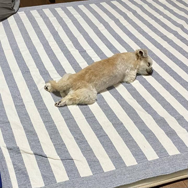 9399c92c 072b 4d10 bd81 c694f04daca1 1708344483373