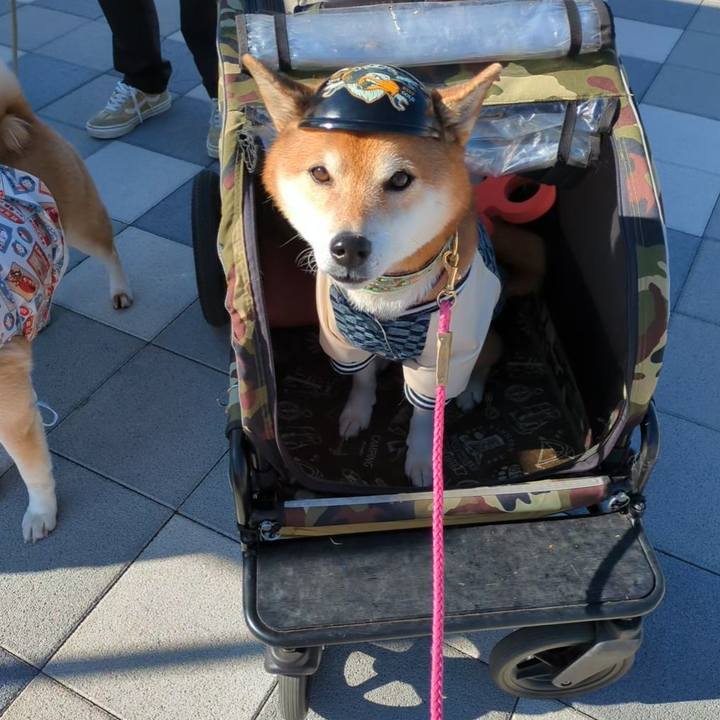 9399dbcf dba9 4c55 8248 92e21e201372 1735625027849