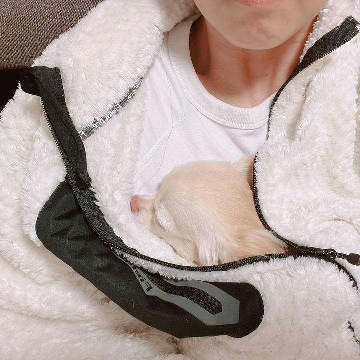 9399ecca 8ada 4687 9b1b 79e4fc37728f 1668932399383