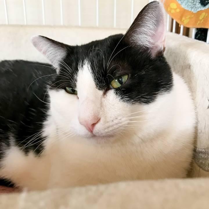 939a00de 907d 4af1 80b6 c7d88d10d45d 1517186550229