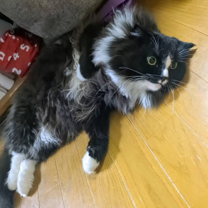 939a0434 ddb1 465c b7fd d6e6b0003e55 1754947584274