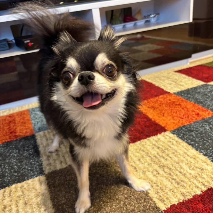 939a060b 3487 4b6c bfb4 0c57e6958139 1760892238338