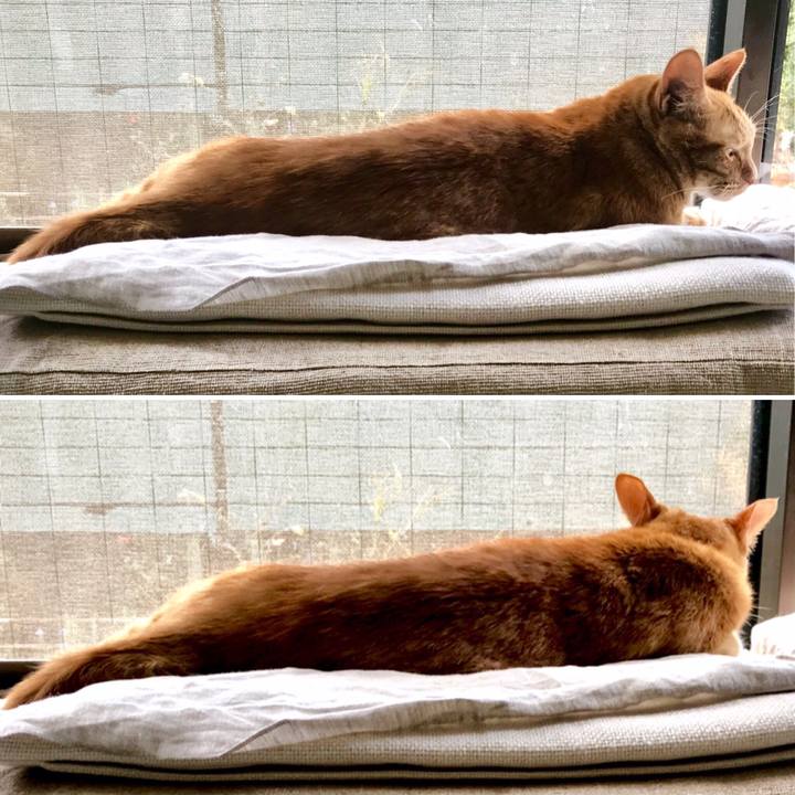 939a0e2c ac17 496b 99d3 e43594f4c8b3 1552458090342