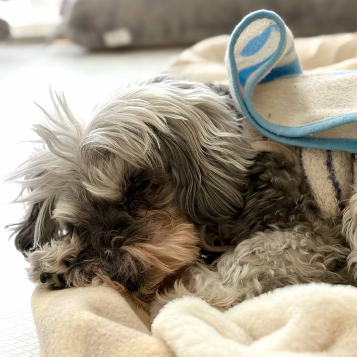 939a4847 7a0d 4d73 9350 c95cf46e9959 1766551369676