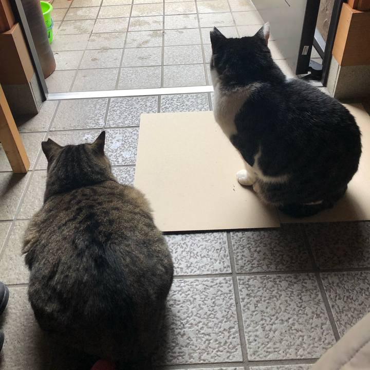 939a4b01 59f4 4aaf a331 0142848579d5 1575705740653