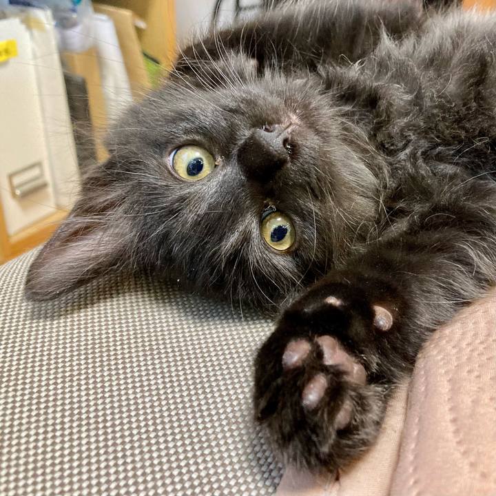 939a4f71 20e0 43a1 b5cd 66af94a91be7 1700611647079