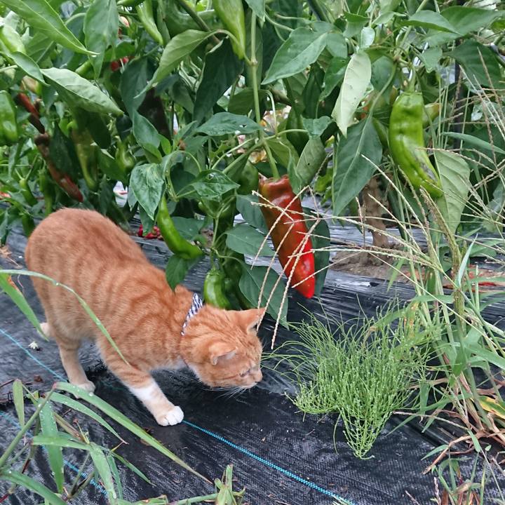 939a70cf 17bb 435c a00e da90cfcc3811 1569101740831