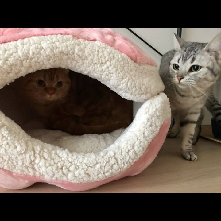 939a8615 f67e 44d2 a098 191fb26bb397 1515214780353