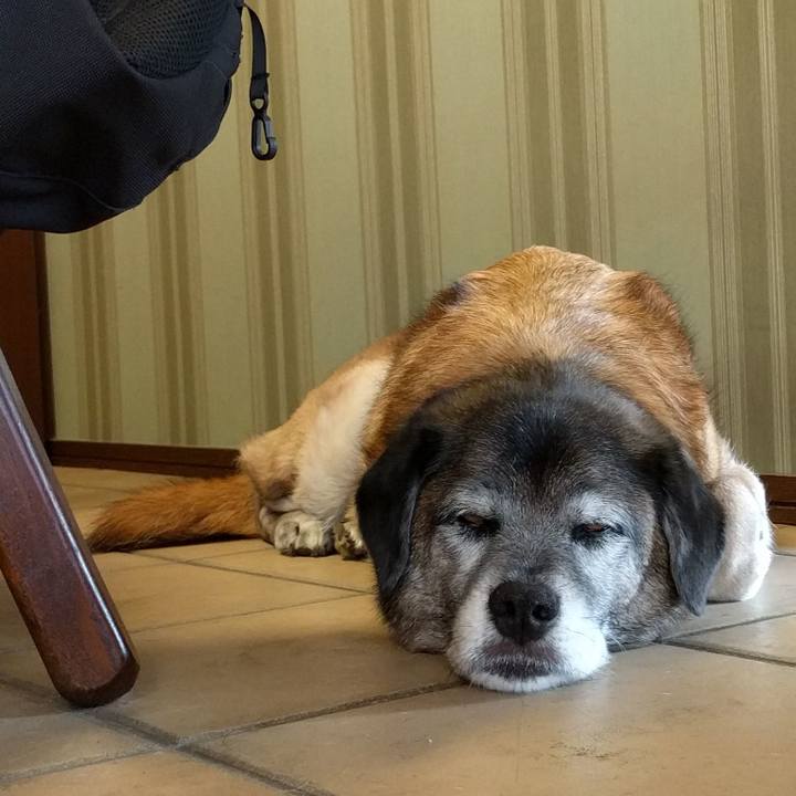 939a905d 0561 496c b5f2 39a69b8d9c8f 1523520672483