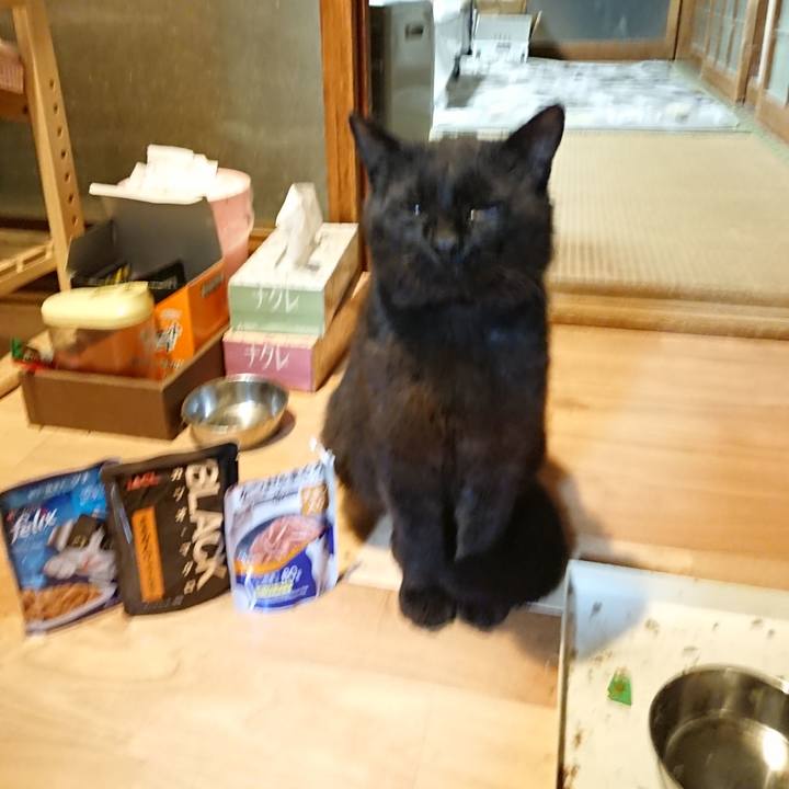 939a91a1 6e5a 4fb5 a5b7 7605bc933185 1623240459356