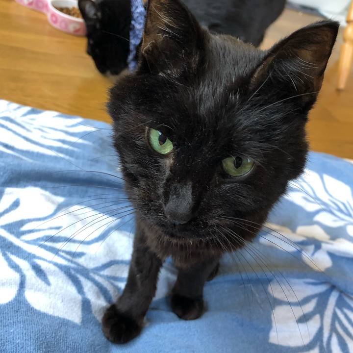 939a9373 be74 4579 b96a e0fb22428097 1557569329663