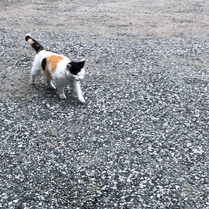 939a94e7 0d73 4dea 961d b6f630d43ffc 1607725707066