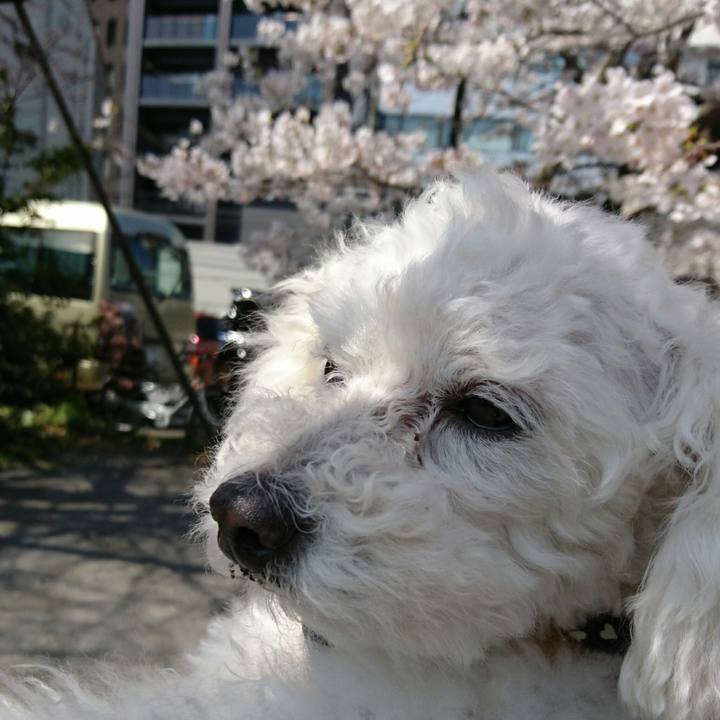 939aa8e4 2095 4ab1 8936 14a4cf076590 1521984402931