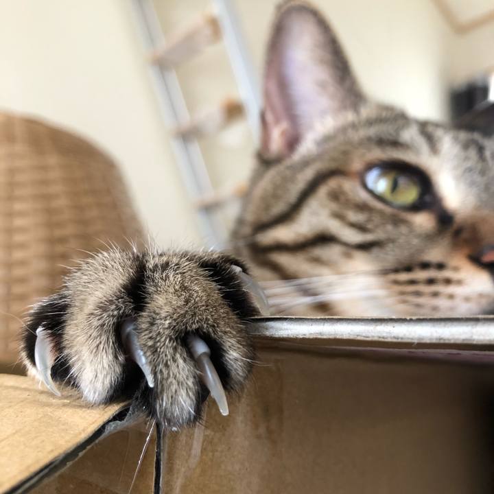 939abfde f703 47d5 8123 b74b34c0abe7 1633785430424