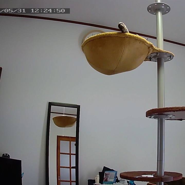 939af6e3 2b30 4816 9201 4ca3cdabeadd 1559273238350