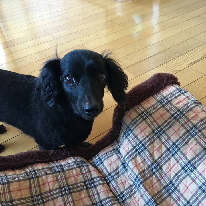 939af8be 2371 4fdf b79a eb176138f6b7 1509314132023