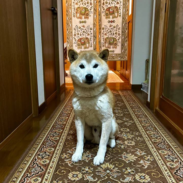 939afb52 a7ae 4310 869b 6dfe2e730061 1716114045385