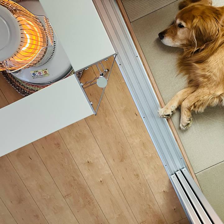 939b2ddb c8da 4857 8f79 99ebf2902cc6 1739256931890