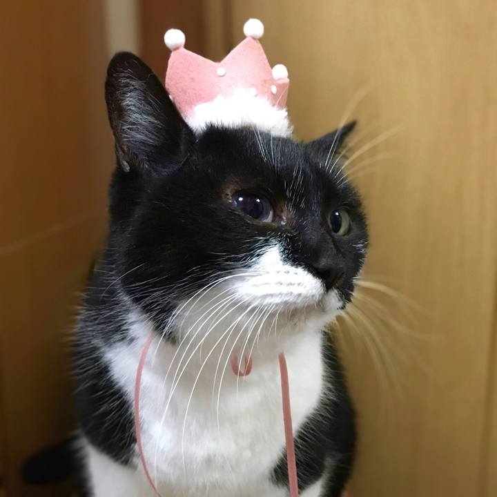 939b39ff 6b8a 494b a54d 19409668e237 1579874384637