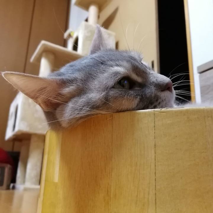 939b4d0b 20e2 40c0 b240 998d8e36ffad 1552918007455