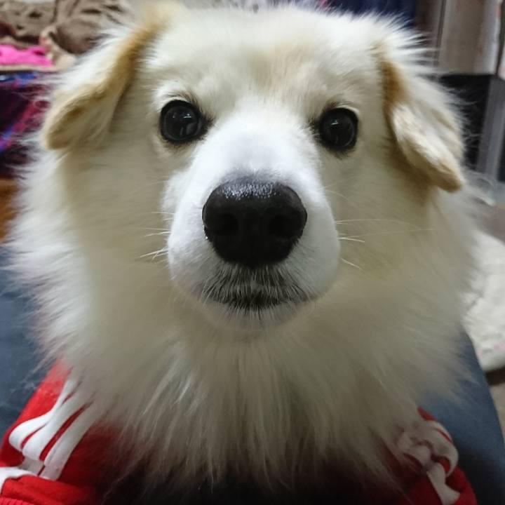 939b6062 c47d 42eb 8b89 07f1d9a32d4e 1513594371301