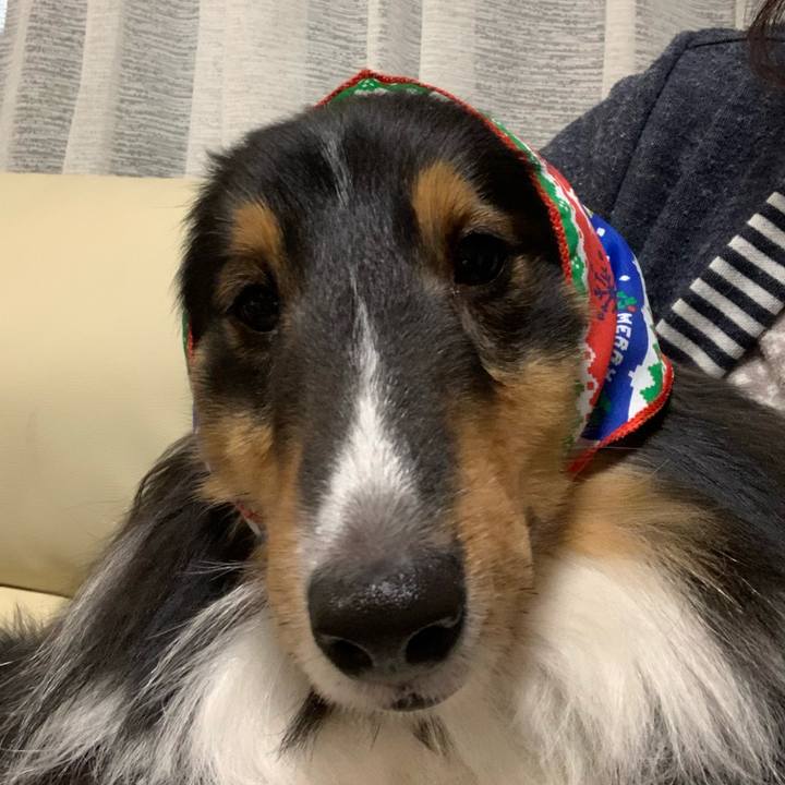 939b8ddc 3c3c 4352 80f2 8a6497d09eef 1607896447410