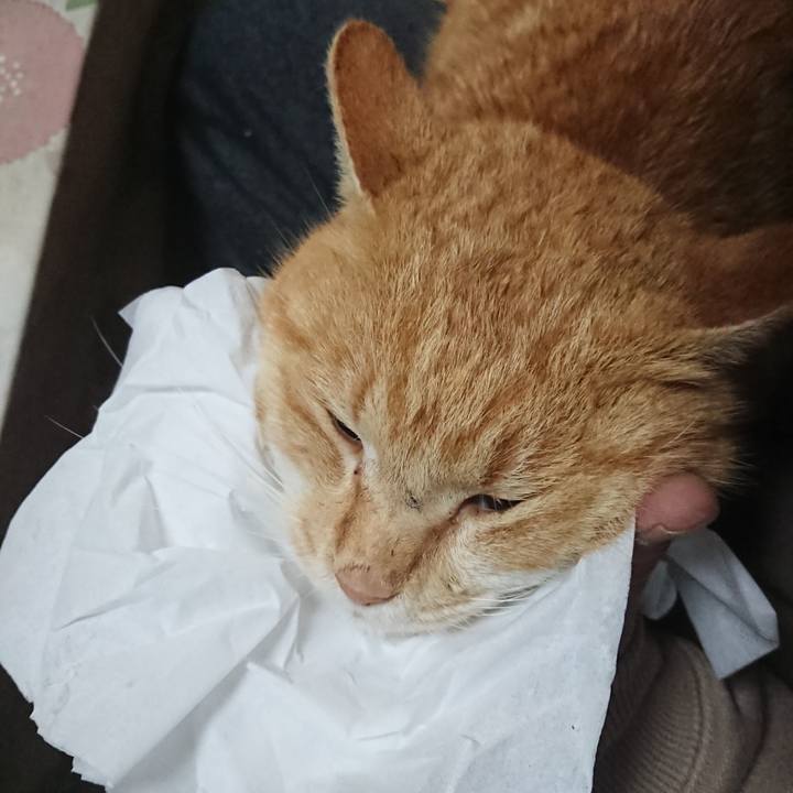 939b9c05 dc15 4b0d ba35 46cd946d0997 1580210597317