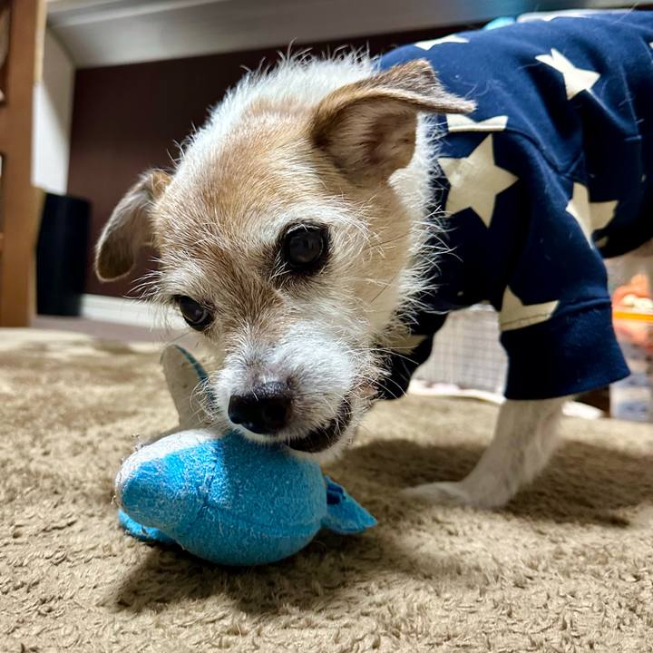 939bdf3f 73f8 43f4 bf2c 631fb1cd8ce4 1703239502631