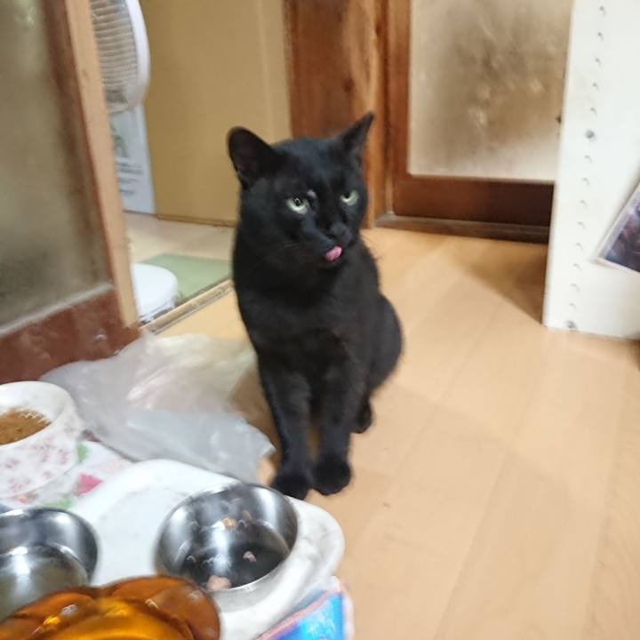 939c00da f544 43b0 9b96 1dd3f93133d1 1628507936868