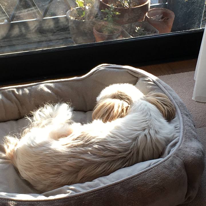 939c18fd 33a6 4bfa b72c 2a32077b75b0 1642117875322